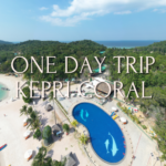 One Day Trip Kepri Coral